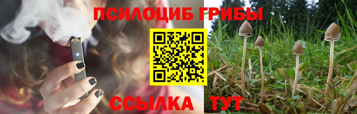 Псилоцибиновые грибы Magic Shrooms  Псилоцибиновые грибы мицелий  Вход с VPN  Видное 